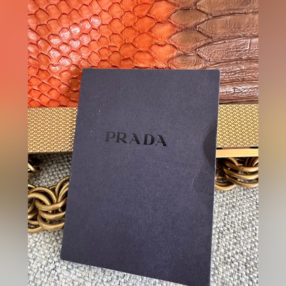 Authentic Prada genuine python bag - Picture 8 of 11